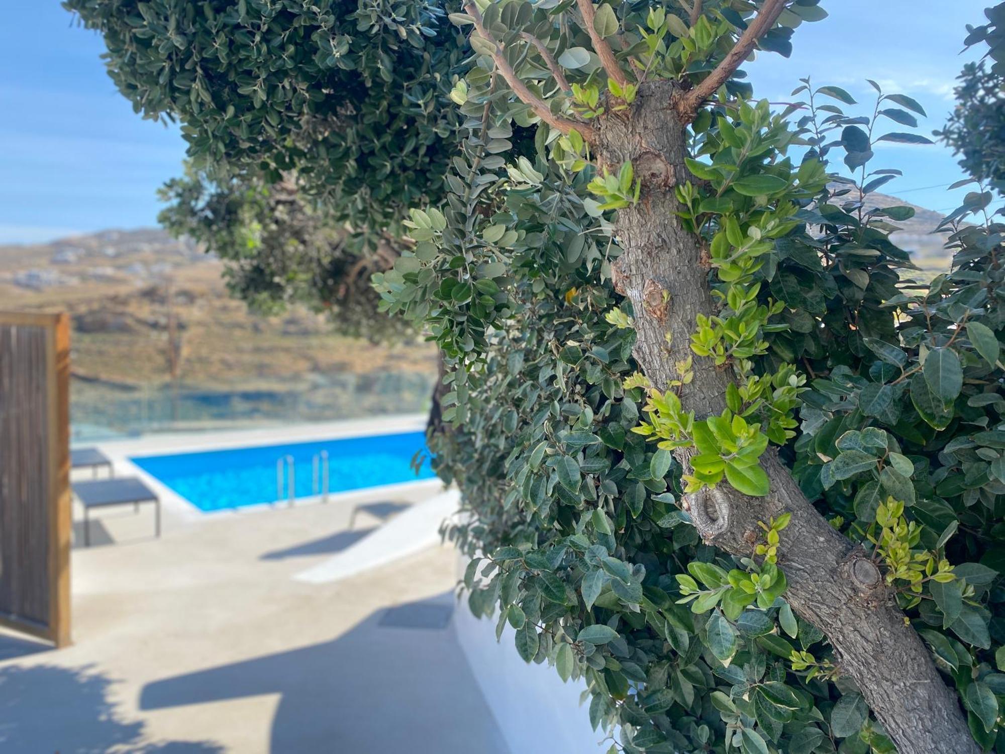 Ftelia Beach Paradise - Villa Irina'S Oasis Luaran gambar
